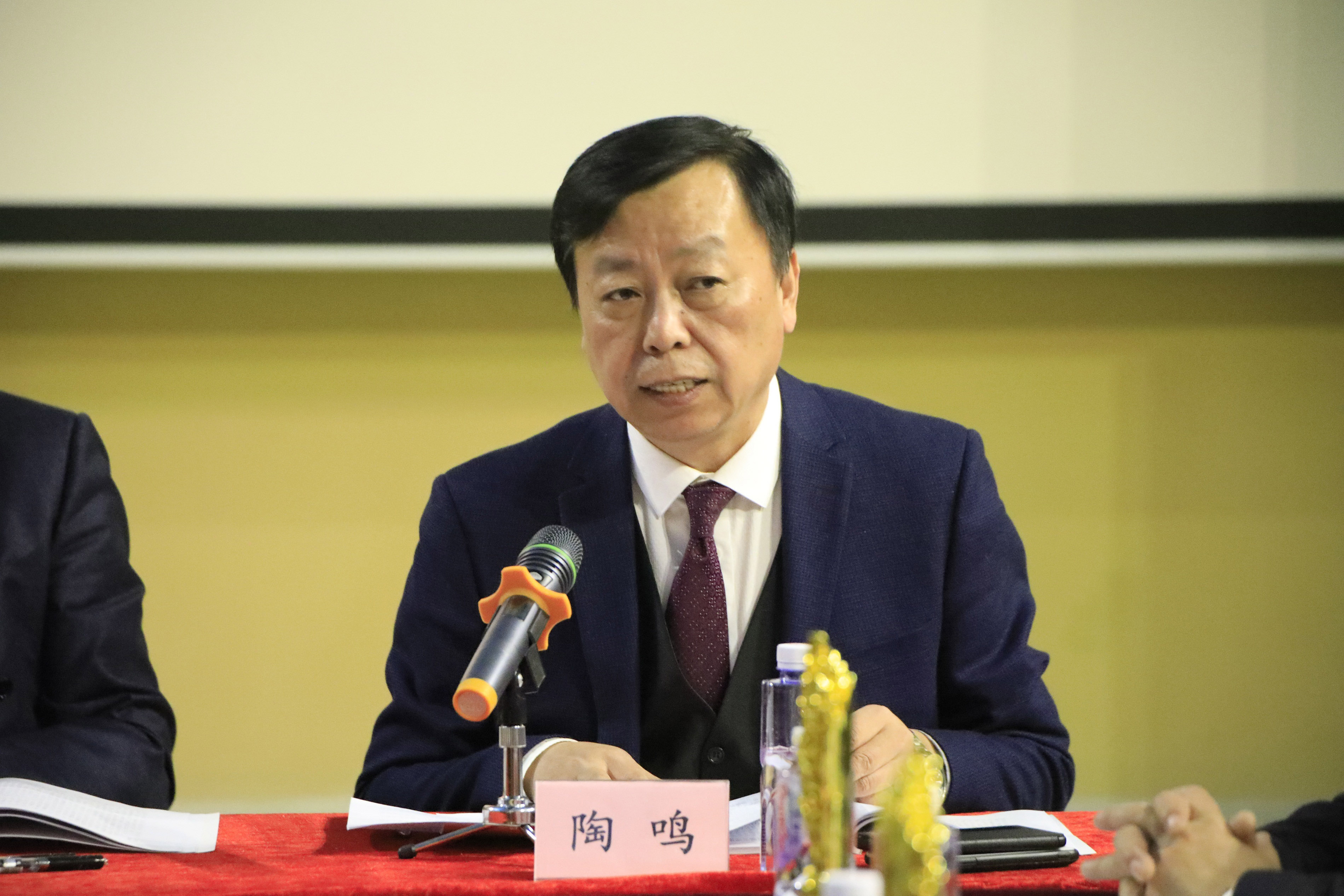 陶鸣副主席兼秘书长出席并主持第二阶段的2020年联盟工作部署会议.JPG