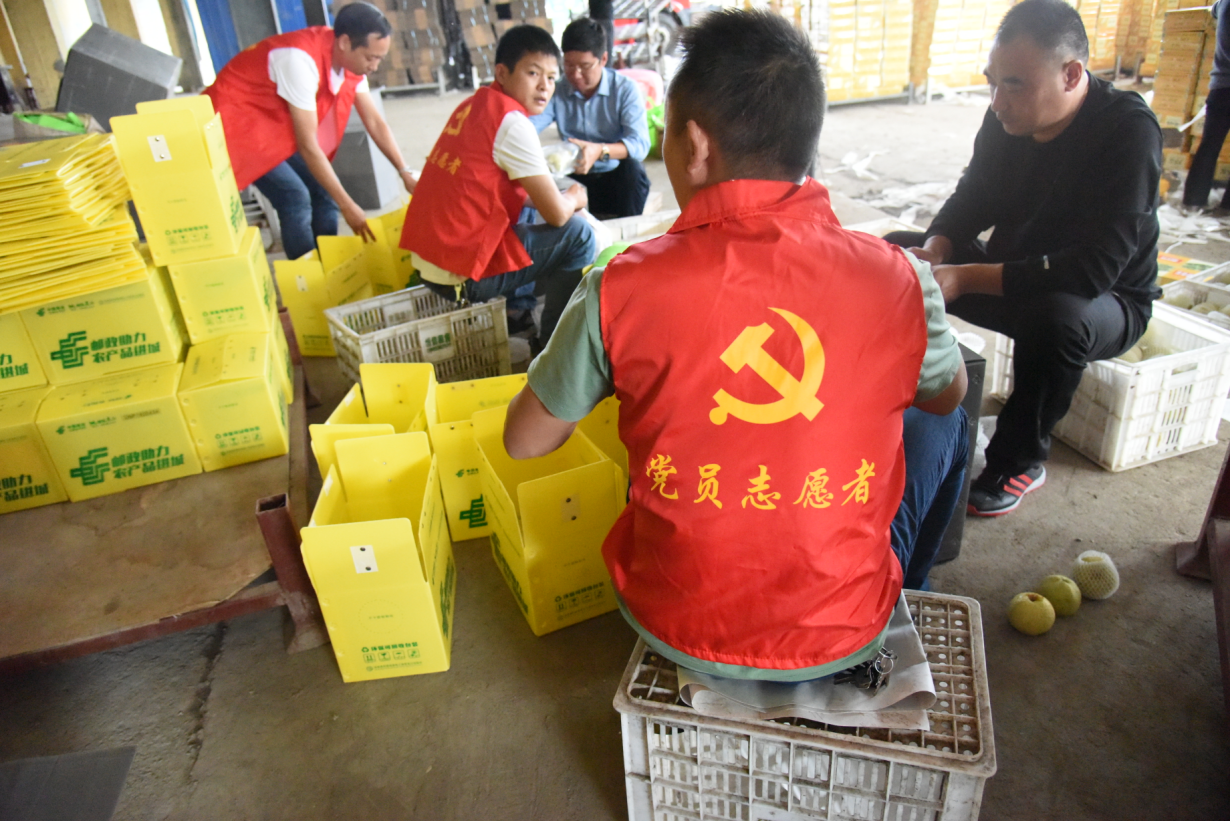 图片2.png
