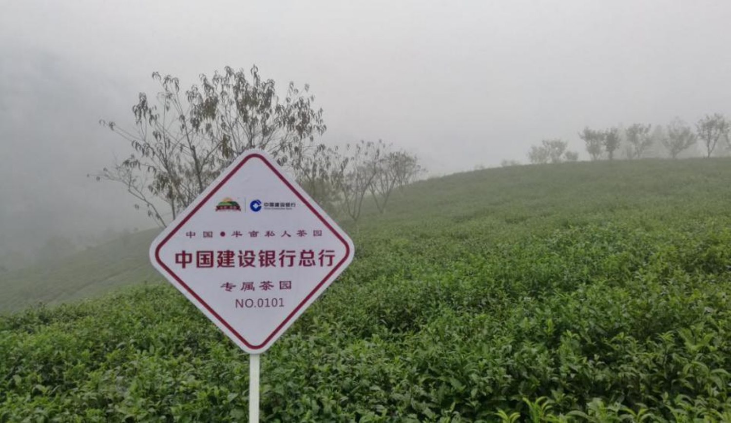 图片22.png